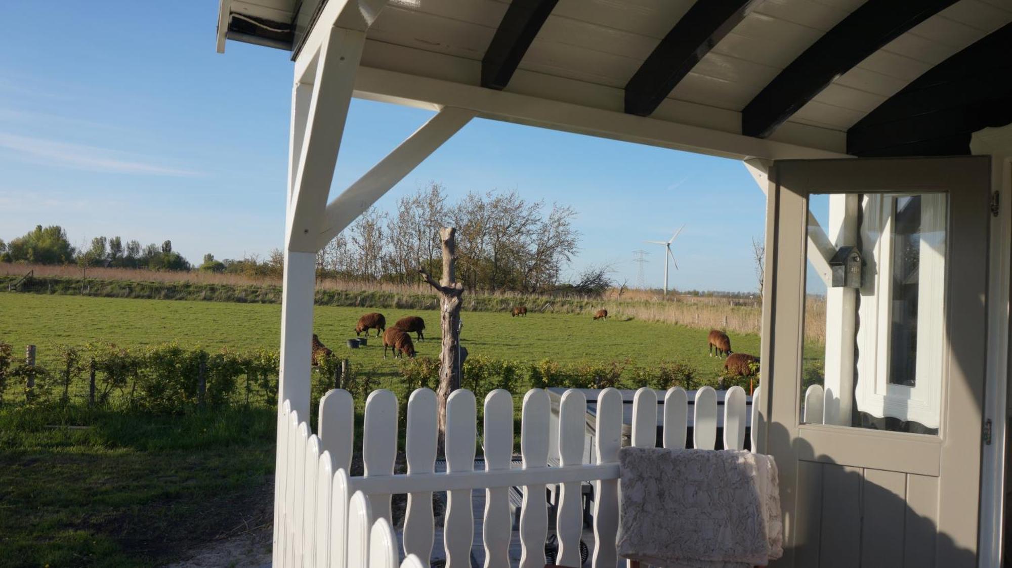 Bed And Breakfast Het Schapenlandje Waarland ภายนอก รูปภาพ