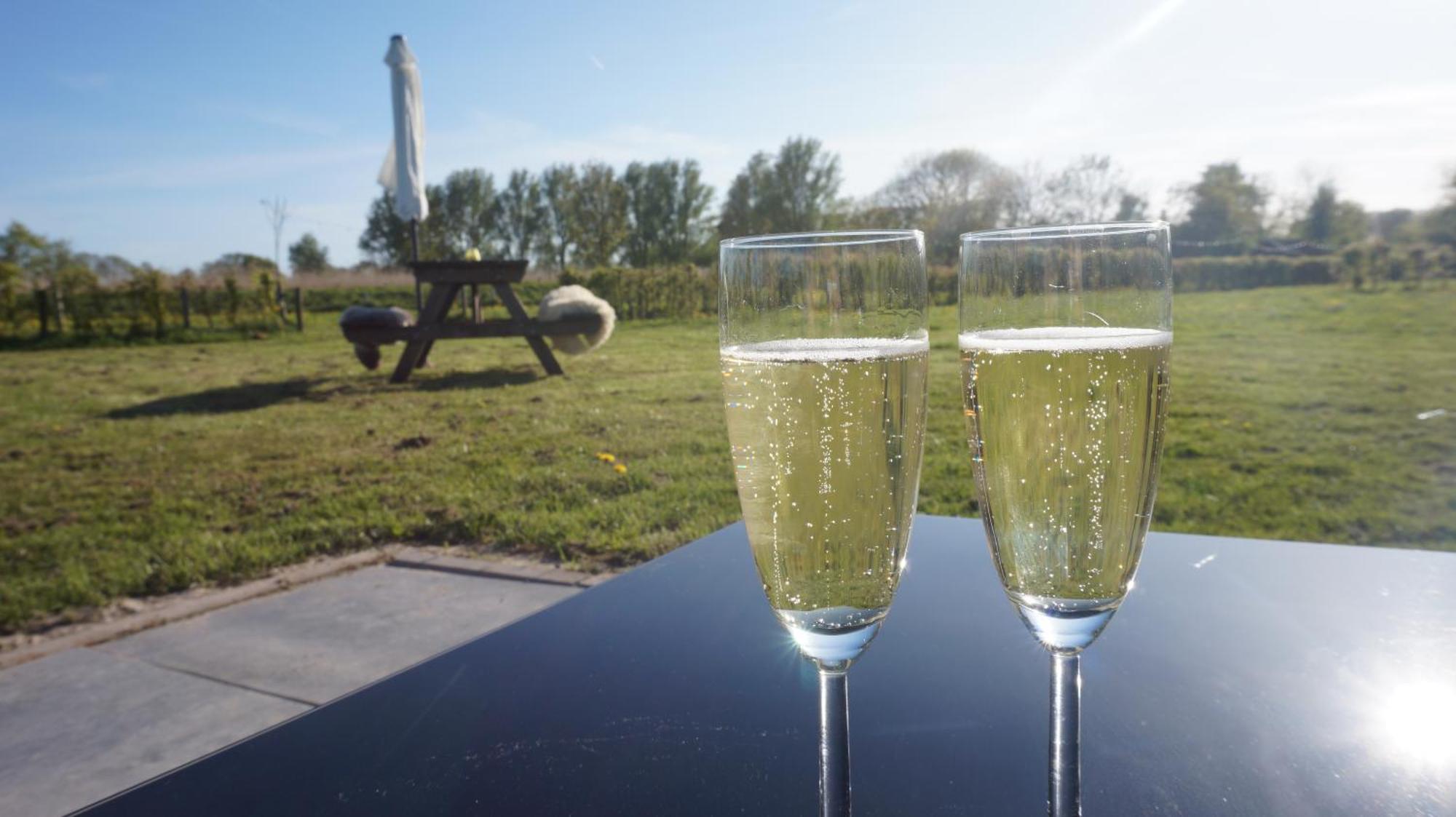 Bed And Breakfast Het Schapenlandje Waarland ภายนอก รูปภาพ