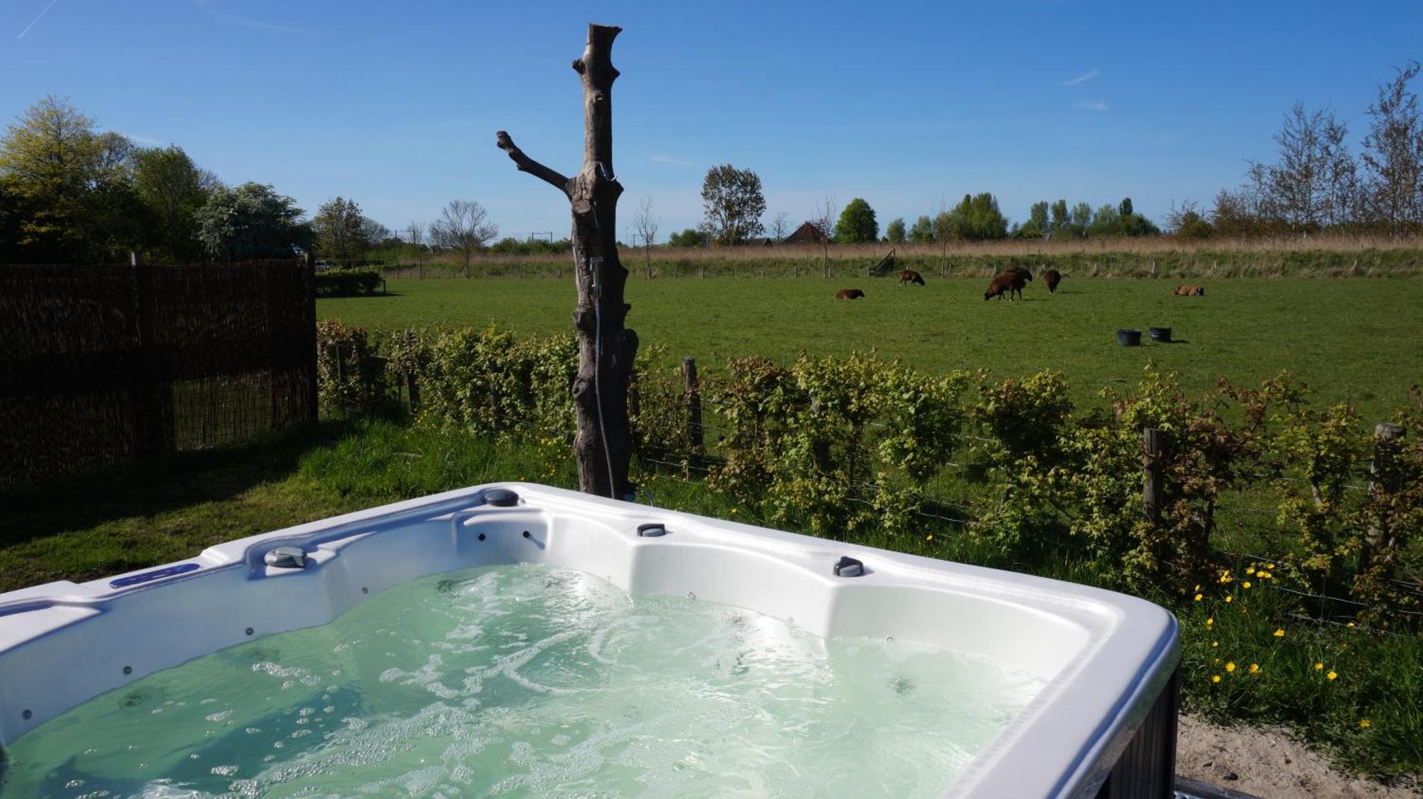 Bed And Breakfast Het Schapenlandje Waarland ภายนอก รูปภาพ
